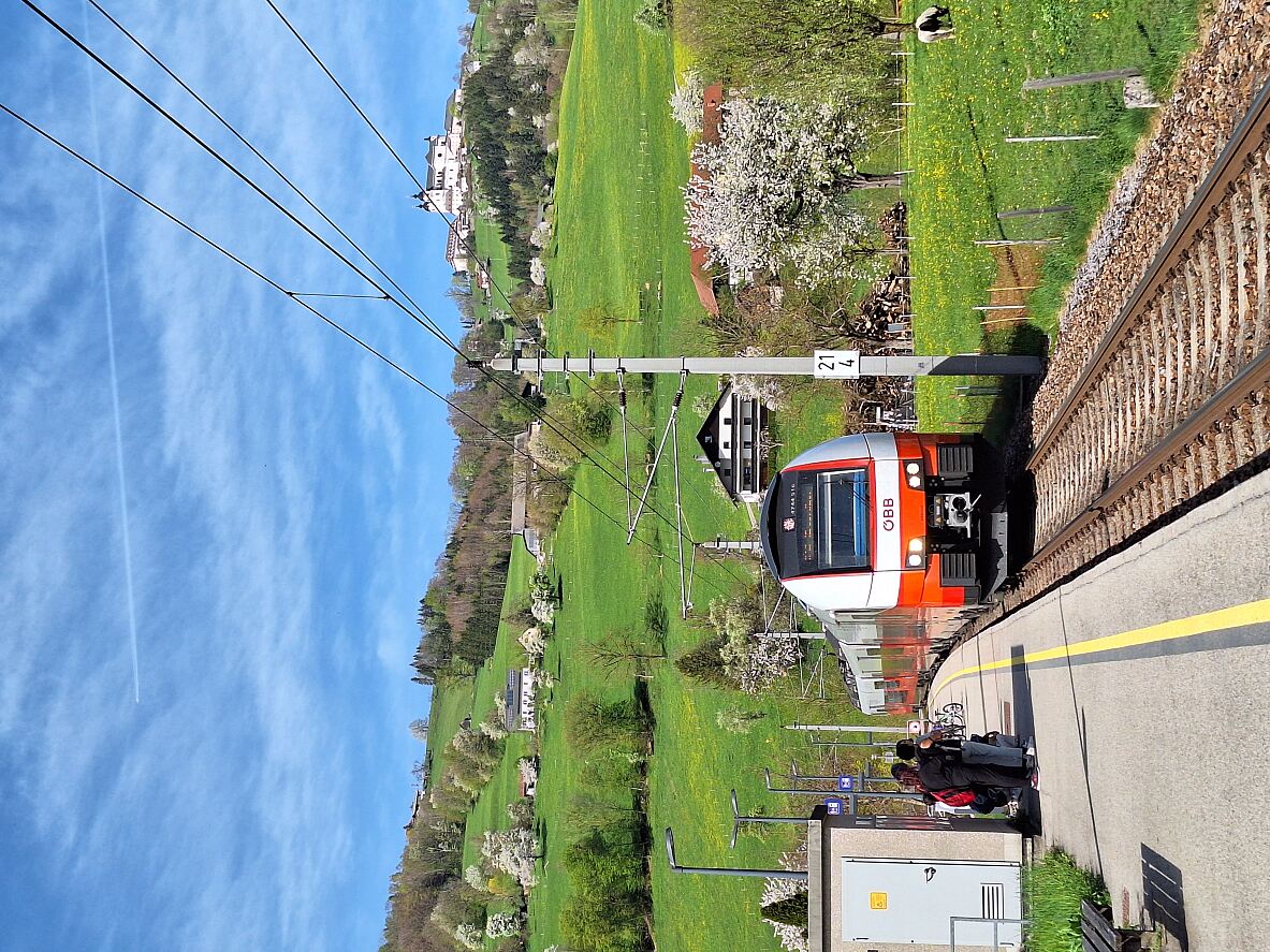 Service Rudolfsbahn
