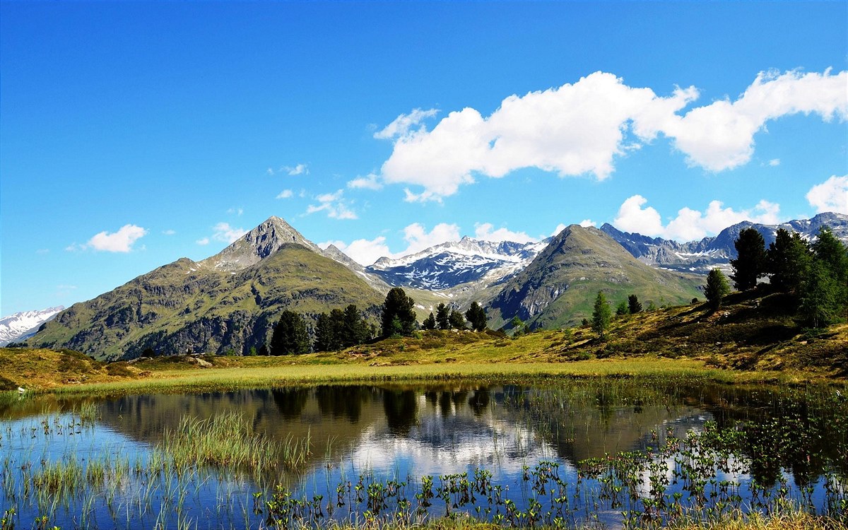 20210602_lienz_moarhof_hohe-tauern3_c_nationalpark-hohe-tauern