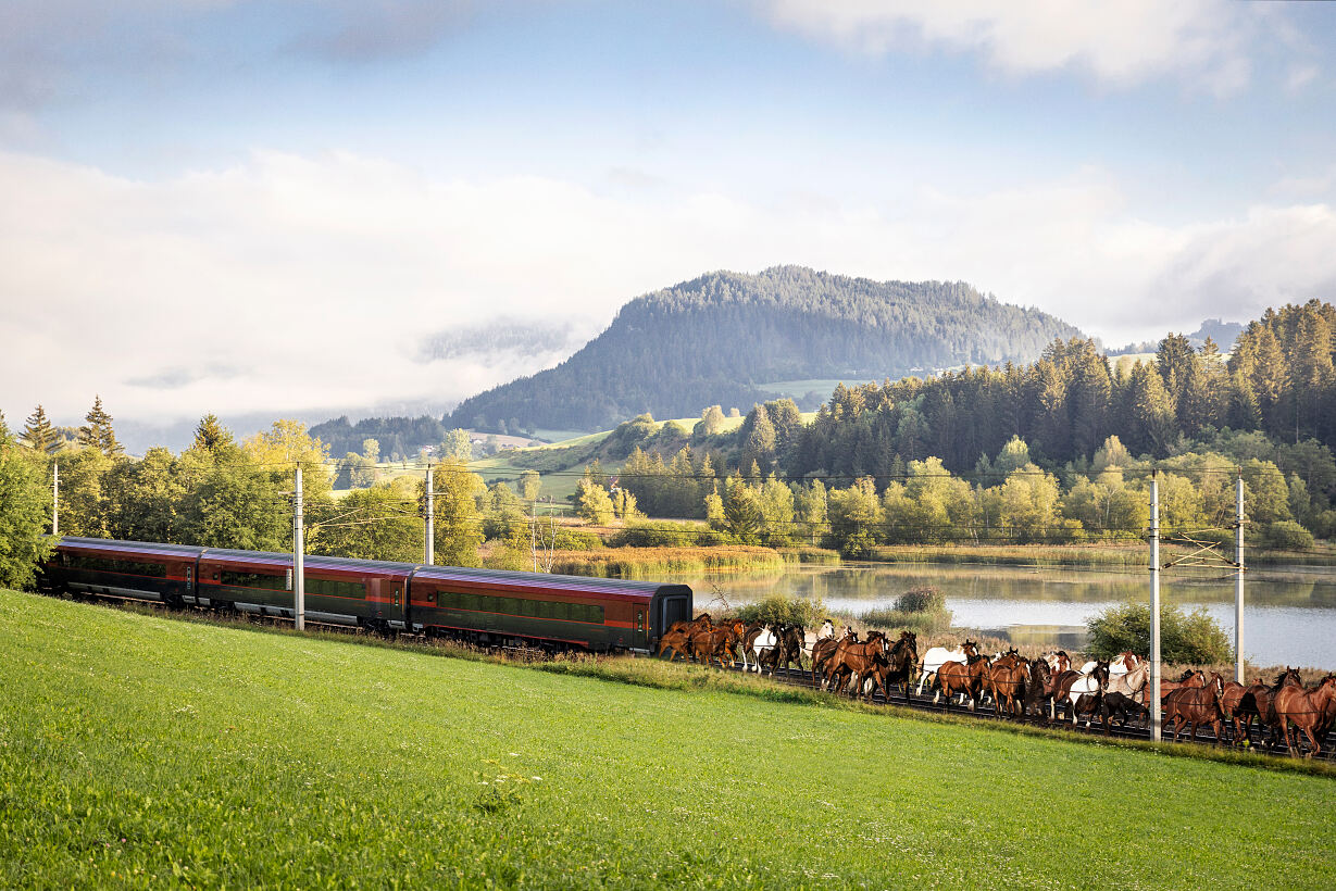 OEBB_April1_Pferde_Galopp_sRGB_small.jpg