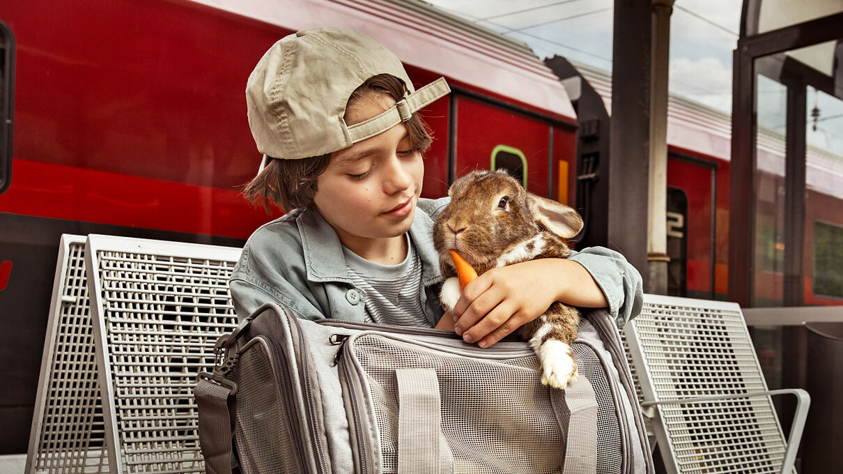 ÖBB Hase