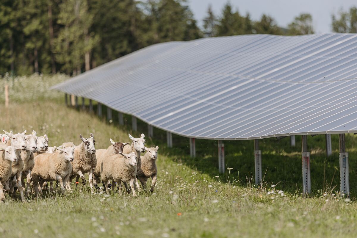 PV Anlage Riedau