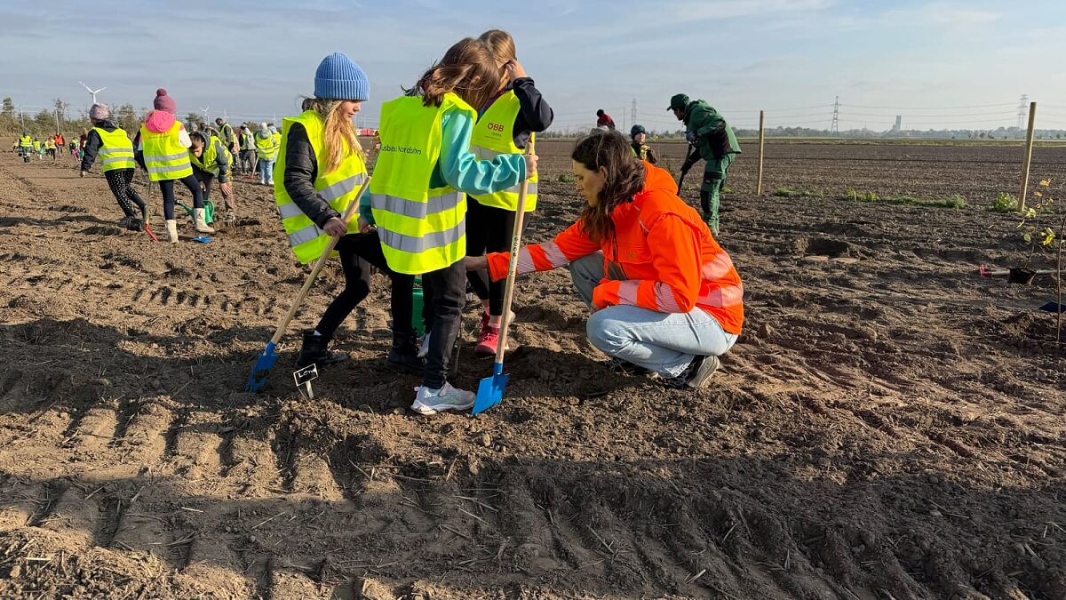 Nordbahn_Bepflanzungsaktion mit VS Deutsch-Wagram