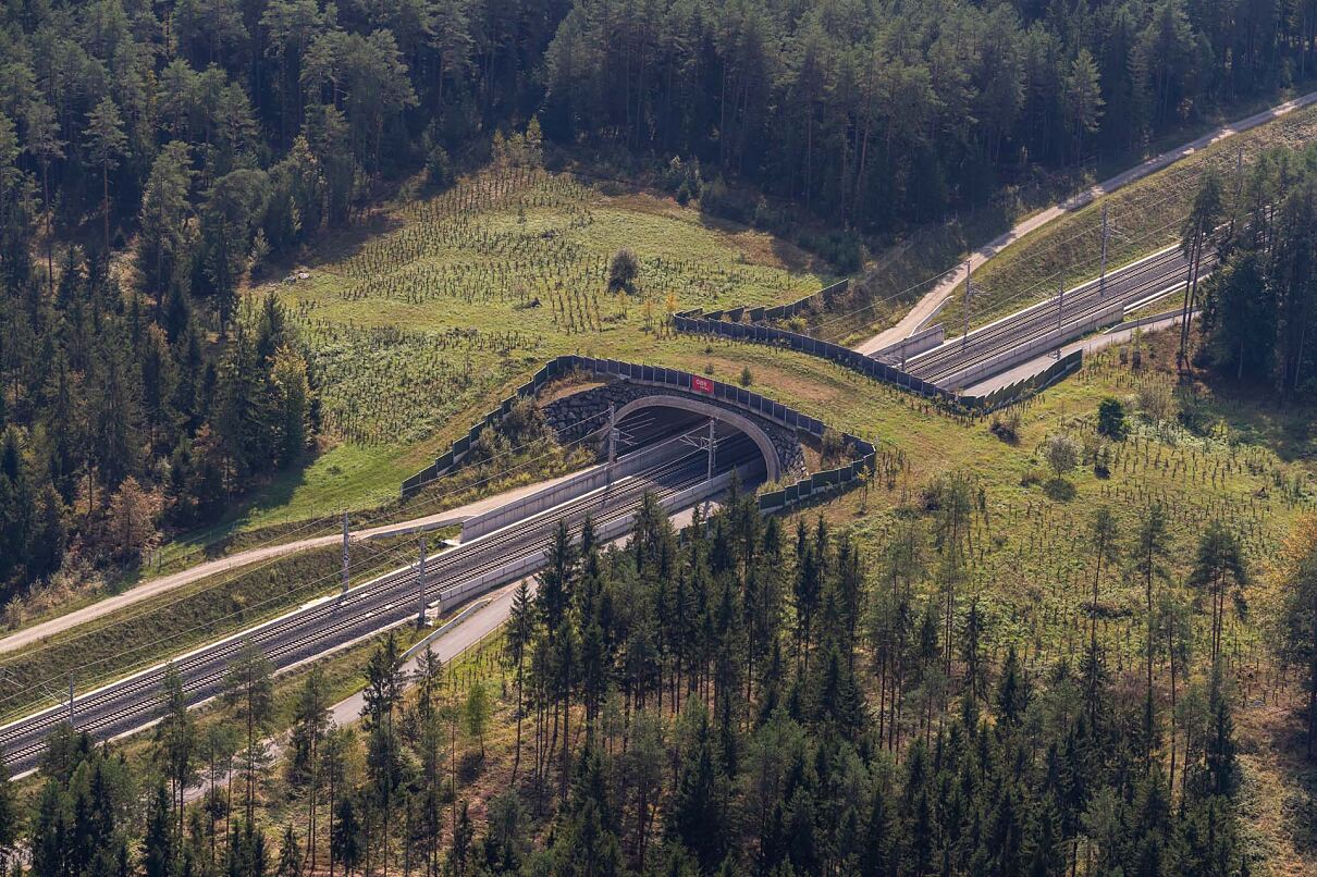 Wildbrücke_Koralmbahn_c_OEBB_Chris Zenz